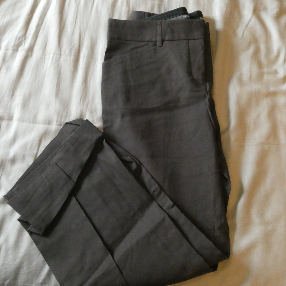 Express Design Studio Editor Brown Size 6 Pants